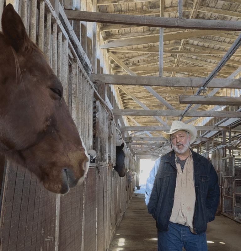 CEO Absolute Media Labs Dave Rosen